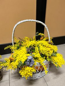 mimosa, 8 marzo, casa delle donne